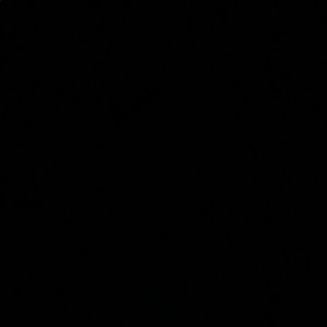 Meet your Posher, Donnell